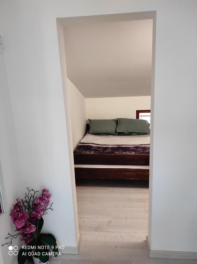 Apartma Izola Esterno foto